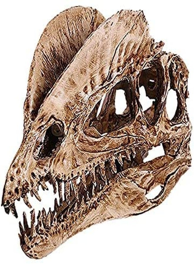 Koolouispoper T-Rex Skull Dinosaur Resin Craft Gifts Home Decor Replica Fish Tank Statue Tyrannosaur Skull Skeleton Aquarium Decoration (A) - Image 1